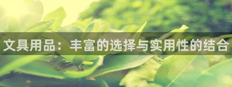 mvp娱乐 卧龙招商60447：文具用品