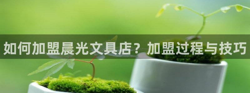 卧龙娱乐集团：如何加盟晨光文具店？加盟过