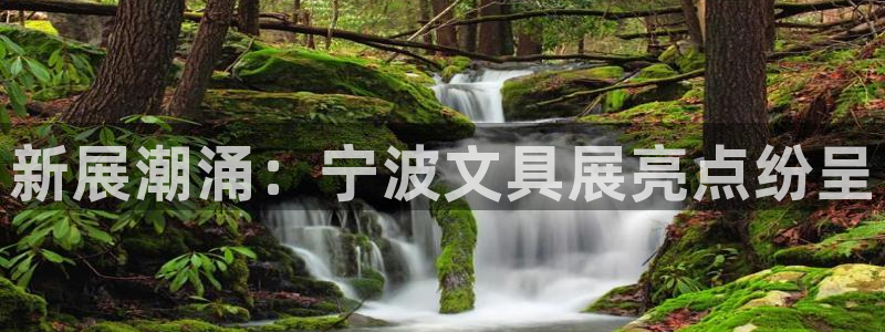 卧龙娱乐左：新展潮涌：宁波文具展亮点纷呈