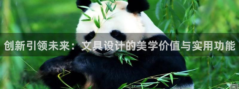 卧龙娱乐APP：创新引领未来：文具设计的