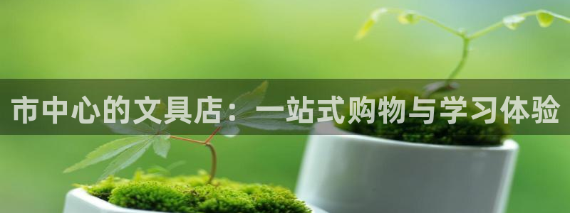 卧龙娱乐上：市中心的文具店：一站式购物与