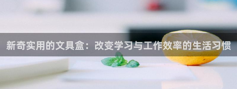 南阳卧龙娱乐会所评价：新奇实用的文具盒：