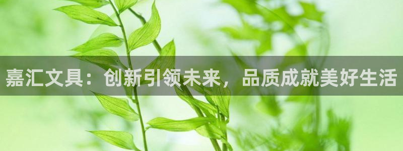 卧龙区夜晚娱乐：嘉汇文具：创新引领未来，