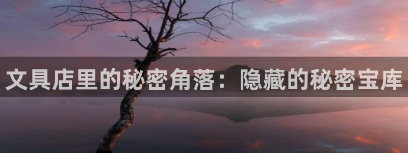 j卧龙娱乐：文具店里的秘密角落：隐藏的秘