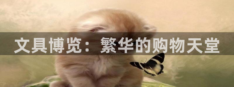 we娱乐 卧龙股东60447：文具博览：