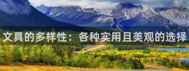 卧龙娱乐是什么：文具的多样性：各种实用且