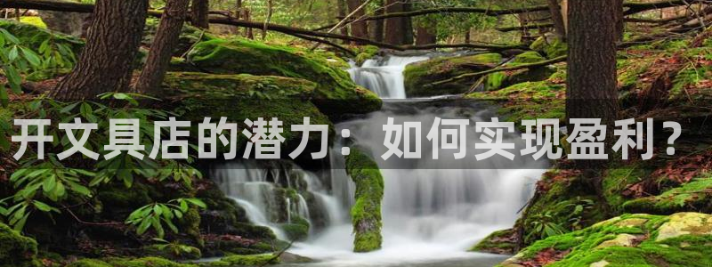 卧龙娱乐主管招聘信息：开文具店的潜力：如