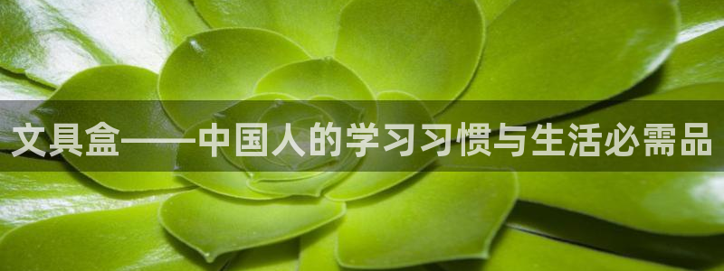 娱乐圈卧龙凤雏：文具盒——中国人的学习习
