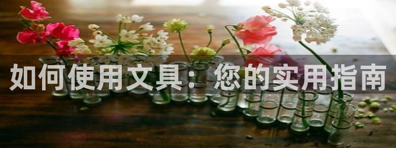 卧龙休闲娱乐收藏榜：如何使用文具：您的实