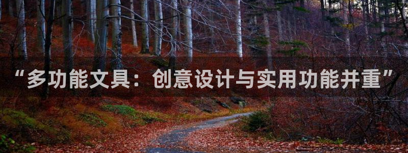 PT娱乐卧龙招商60447：“多功能文具