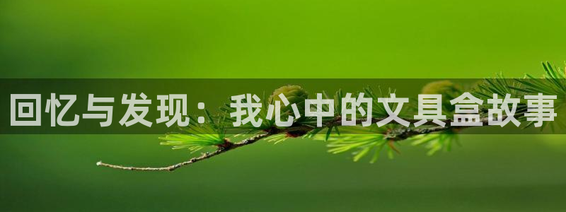 卧龙娱乐可靠吗：回忆与发现：我心中的文具