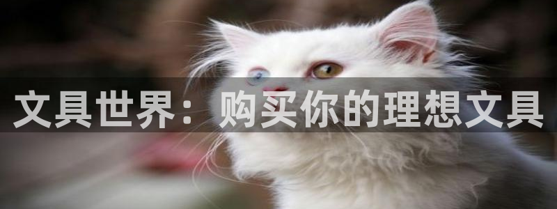 卧龙2娱乐登录：文具世界：购买你的理想文