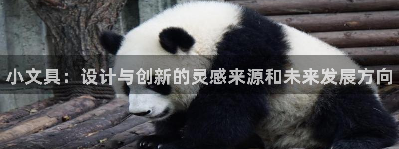 卧龙凤雏娱乐减肥：小文具：设计与创新的灵