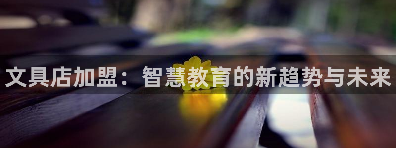 卧龙风雏娱乐：文具店加盟：智慧教育的新趋