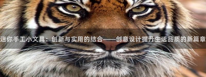 卧龙区微微娱乐商城：迷你手工小文具：创新