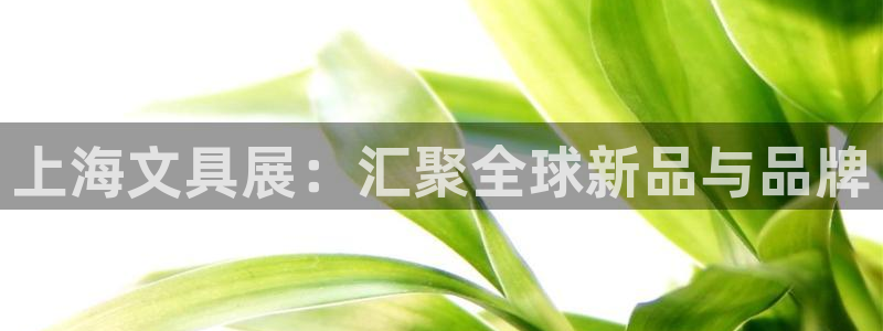 卧龙镇娱乐会所电话：上海文具展：汇聚全球