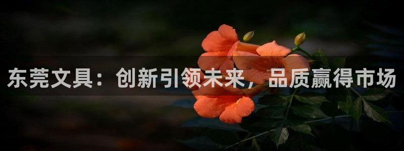 卧龙娱乐月：东莞文具：创新引领未来，品质