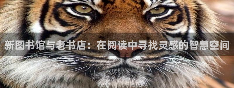 卧龙娱乐后：新图书馆与老书店：在阅读中寻