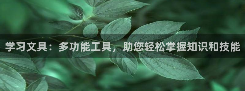卧龙娱乐平台登录：学习文具：多功能工具，