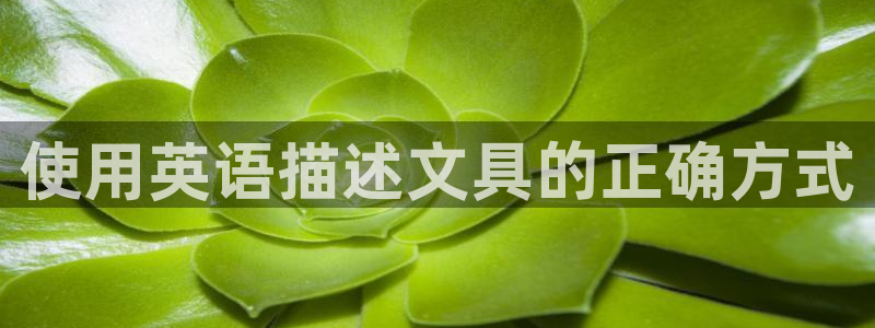娱乐圈卧龙凤雏：使用英语描述文具的正确方
