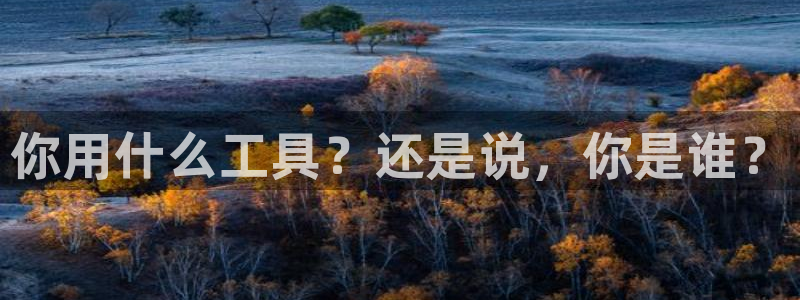 卧龙娱乐app彩票计划：你用什么工具？还