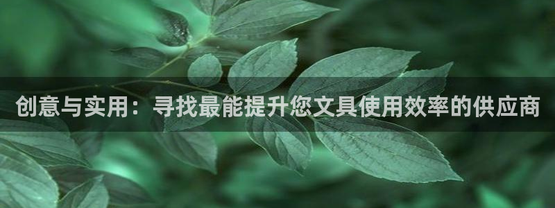 卧龙娱乐招商代理怎么样：创意与实用：寻找