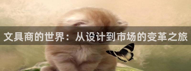卧龙娱乐下载安装：文具商的世界：从设计到