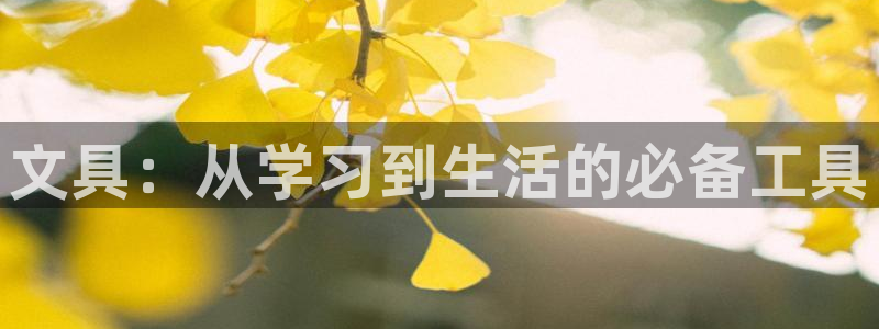 卧龙娱乐不出款了吗：文具：从学习到生活的