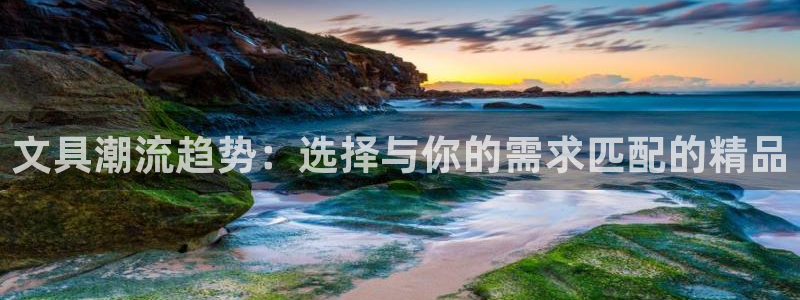 卧龙2娱乐登录：文具潮流趋势：选择与你的