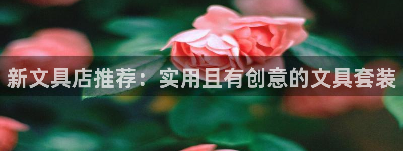 卧龙吟娱乐玩法：新文具店推荐：实用且有创