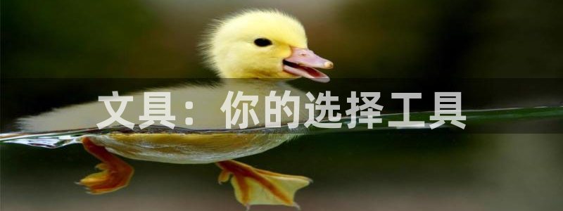 卧龙凤雏娱乐解说：文具：你的选择工具