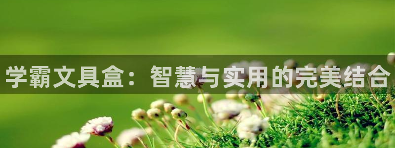 娱乐小卧龙：学霸文具盒：智慧与实用的完美