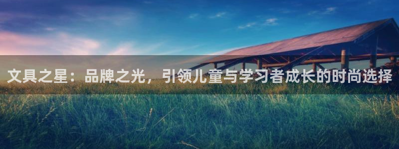 卧龙娱乐怎么不能注册：文具之星：品牌之光