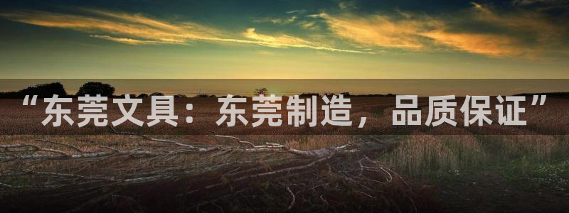 大娱乐家卧龙先生：“东莞文具：东莞制造，