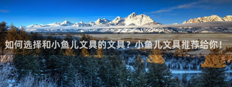 卧龙娱乐app彩票中奖：如何选择和小鱼儿
