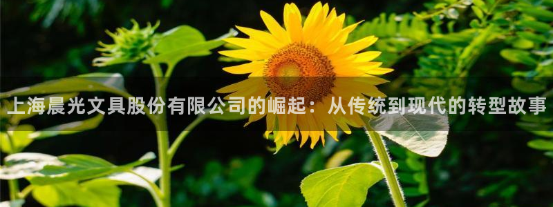卧龙娱乐彩下载：上海晨光文具股份有限公司