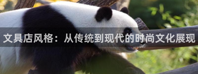 卧龙娱乐在线直播：文具店风格：从传统到现