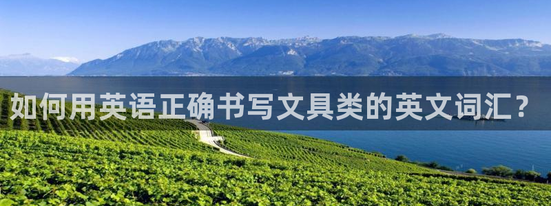 卧龙娱乐在线下载游戏：如何用英语正确书写