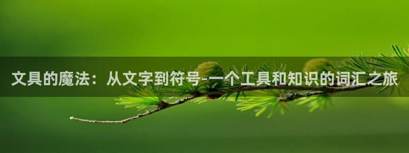 卧龙凤雏娱乐运城：文具的魔法：从文字到符