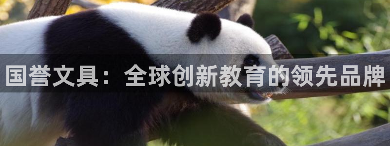 卧龙娱乐计划：国誉文具：全球创新教育的领