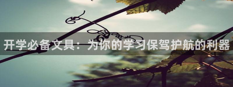 卧龙娱乐在线直播网页：开学必备文具：为你