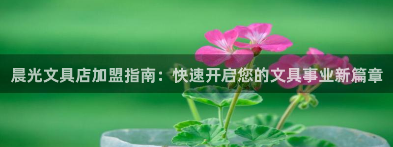 卧龙娱乐老板：晨光文具店加盟指南：快速开