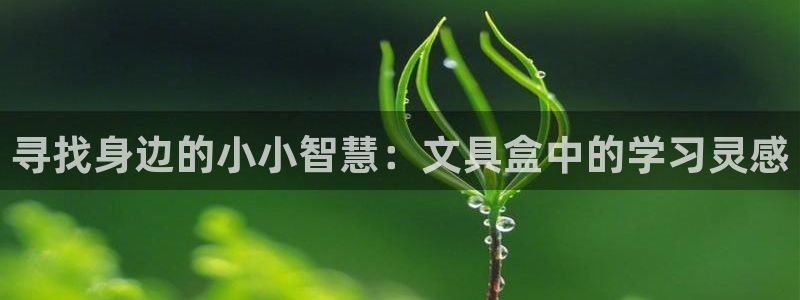 卧龙娱乐官网注册：寻找身边的小小智慧：文