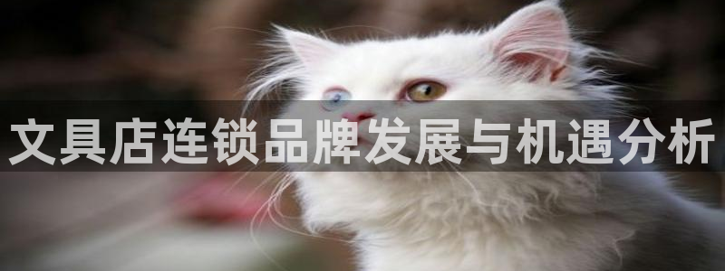 卧龙娱乐彩票：文具店连锁品牌发展与机遇分