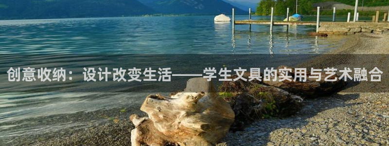 卧龙娱乐怎样注册公司：创意收纳：设计改变