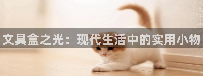 卧龙娱乐：文具盒之光：现代生活中的实用小