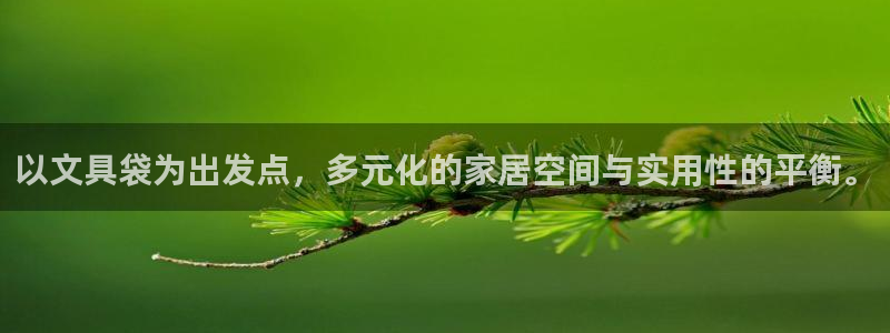 卧龙区维也纳娱乐会所：以文具袋为出发点，