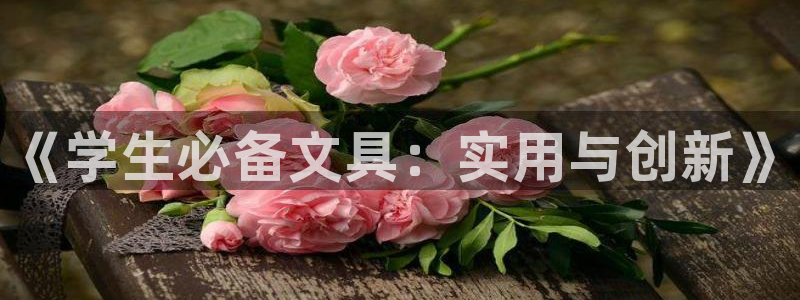 卧龙休闲娱乐优惠活动：《学生必备文具：实