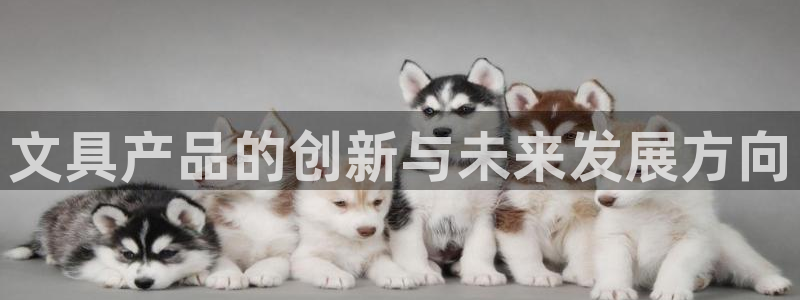 柏林娱乐- 0 7卧龙：文具产品的创新与