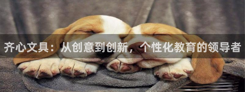 卧龙娱乐注册地址在哪里：齐心文具：从创意